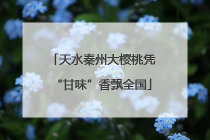 天水秦州大樱桃凭“甘味”香飘全国