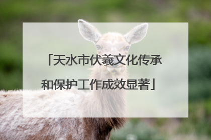 天水市伏羲文化传承和保护工作成效显著