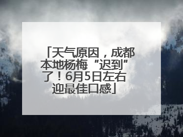 天气原因，成都本地杨梅“迟到”了！6月5日左右迎最佳口感