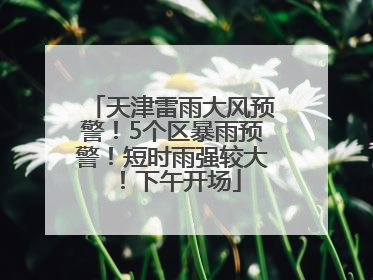 天津雷雨大风预警！5个区暴雨预警！短时雨强较大！下午开场