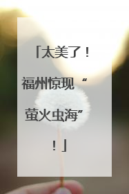 太美了！福州惊现“萤火虫海”！