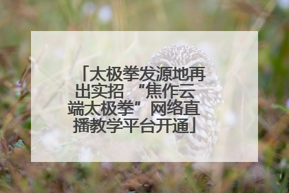 太极拳发源地再出实招 “焦作云端太极拳”网络直播教学平台开通