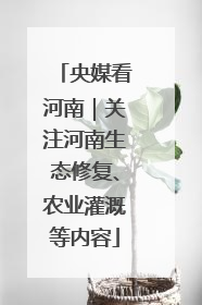 央媒看河南｜关注河南生态修复、农业灌溉等内容
