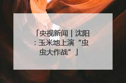 央视新闻｜沈阳：玉米地上演“虫虫大作战”