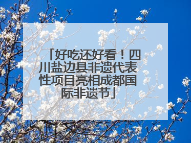 好吃还好看！四川盐边县非遗代表性项目亮相成都国际非遗节