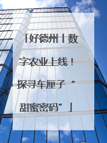 好德州丨数字农业上线！探寻车厘子“甜蜜密码”