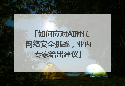 如何应对AI时代网络安全挑战，业内专家给出建议