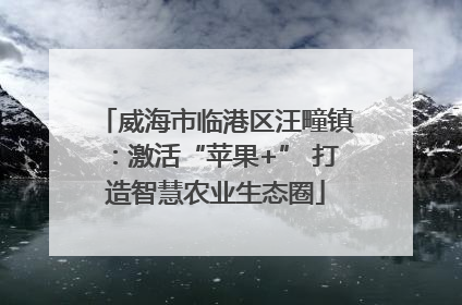 威海市临港区汪疃镇：激活“苹果+” 打造智慧农业生态圈