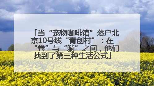 当“宠物咖啡馆”落户北京10号线“青创村”：在“卷”与“躺”之间，他们找到了第三种生活公式