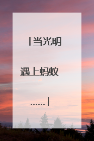 当光明遇上蚂蚁……