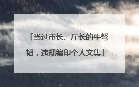 当过市长、厅长的牛弩韬，违规编印个人文集
