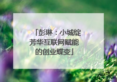 彭琳：小城绽芳华互联网赋能的创业蝶变