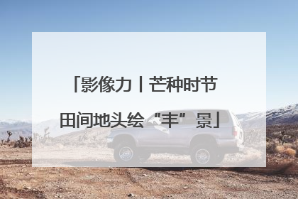 影像力丨芒种时节 田间地头绘“丰”景