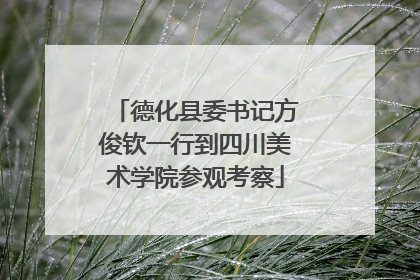 德化县委书记方俊钦一行到四川美术学院参观考察