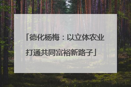 德化杨梅：以立体农业打通共同富裕新路子