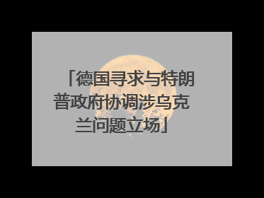 德国寻求与特朗普政府协调涉乌克兰问题立场