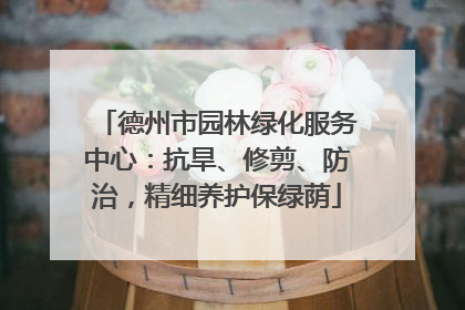 德州市园林绿化服务中心：抗旱、修剪、防治，精细养护保绿荫