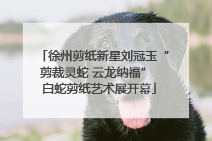 徐州剪纸新星刘冠玉“剪裁灵蛇 云龙纳福” 白蛇剪纸艺术展开幕