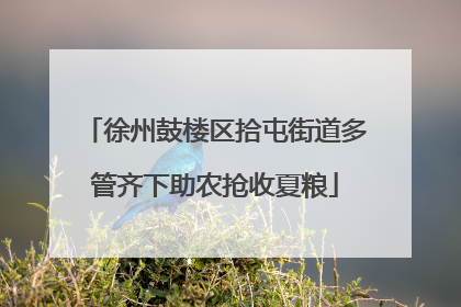 徐州鼓楼区拾屯街道多管齐下助农抢收夏粮