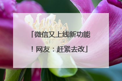 微信又上线新功能！网友：赶紧去改
