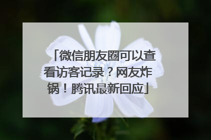 微信朋友圈可以查看访客记录？网友炸锅！腾讯最新回应