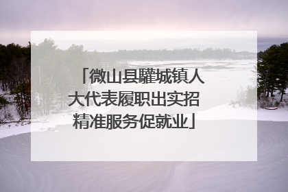 微山县驩城镇人大代表履职出实招精准服务促就业