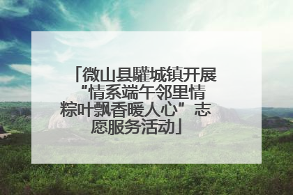 微山县驩城镇开展“情系端午邻里情 粽叶飘香暖人心”志愿服务活动