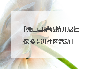微山县驩城镇开展社保换卡进社区活动
