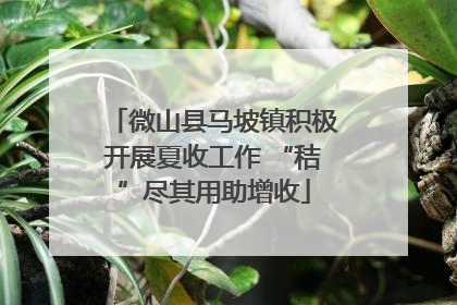微山县马坡镇积极开展夏收工作 “秸”尽其用助增收