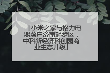 小米之家与格力电器落户济南起步区，中科新经济科创园商业生态升级