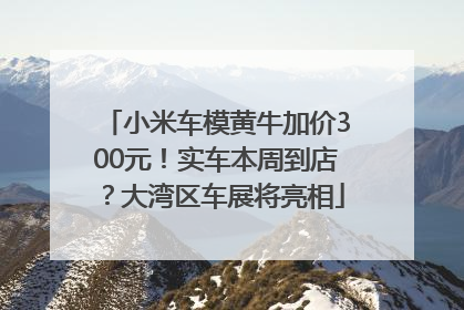 小米车模黄牛加价300元！实车本周到店？大湾区车展将亮相