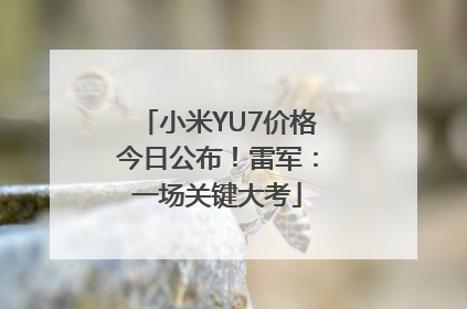 小米YU7价格今日公布！雷军：一场关键大考