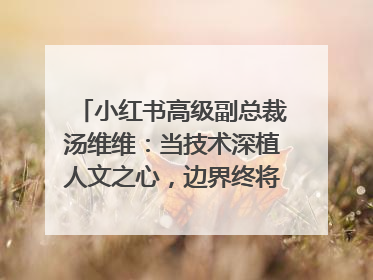 小红书高级副总裁汤维维：当技术深植人文之心，边界终将化为桥梁｜聚焦2025文化强国建设高峰论坛
