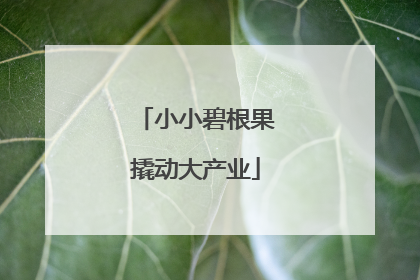 小小碧根果撬动大产业
