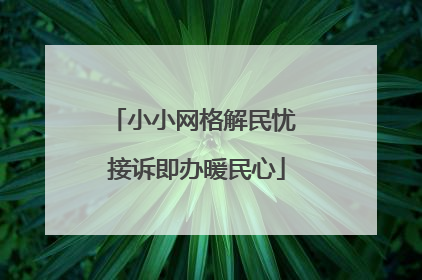 小小网格解民忧 接诉即办暖民心
