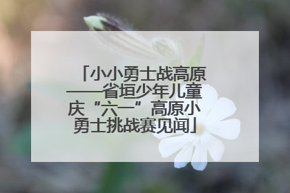 小小勇士战高原——省垣少年儿童庆“六一”高原小勇士挑战赛见闻