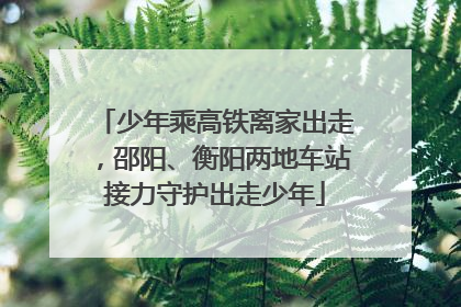 少年乘高铁离家出走，邵阳、衡阳两地车站接力守护出走少年