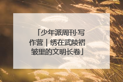 少年派周刊·写作营｜绣在武陵褶皱里的文明长卷