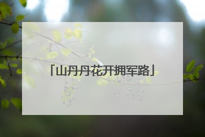 山丹丹花开拥军路