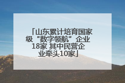 山东累计培育国家级“数字领航”企业18家 其中民营企业牵头10家