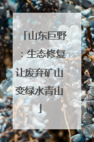 山东巨野：生态修复让废弃矿山变绿水青山