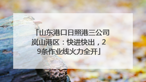 山东港口日照港三公司岚山港区：快进快出，29条作业线火力全开