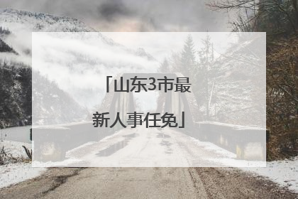 山东3市最新人事任免
