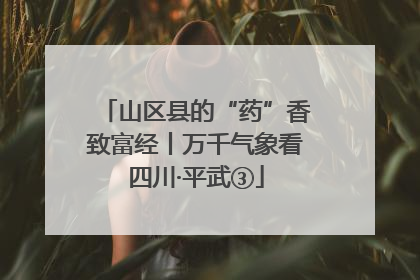 山区县的“药”香致富经丨万千气象看四川·平武③