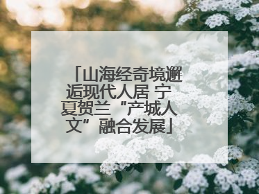 山海经奇境邂逅现代人居 宁夏贺兰“产城人文”融合发展