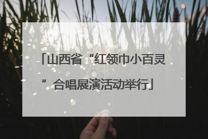 山西省“红领巾小百灵”合唱展演活动举行