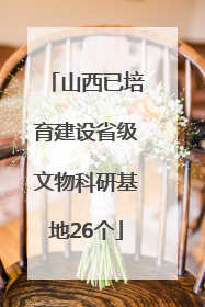 山西已培育建设省级文物科研基地26个