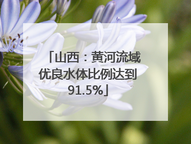山西：黄河流域优良水体比例达到91.5%