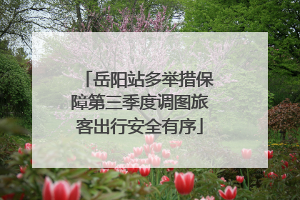 岳阳站多举措保障第三季度调图旅客出行安全有序