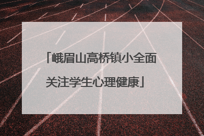 峨眉山高桥镇小全面关注学生心理健康